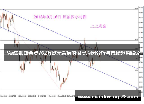 马德鲁加转会费762万欧元背后的深层原因分析与市场趋势解读