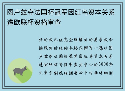 图卢兹夺法国杯冠军因红鸟资本关系遭欧联杯资格审查
